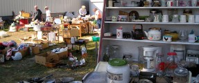 slider_Bait-Shop,-general
